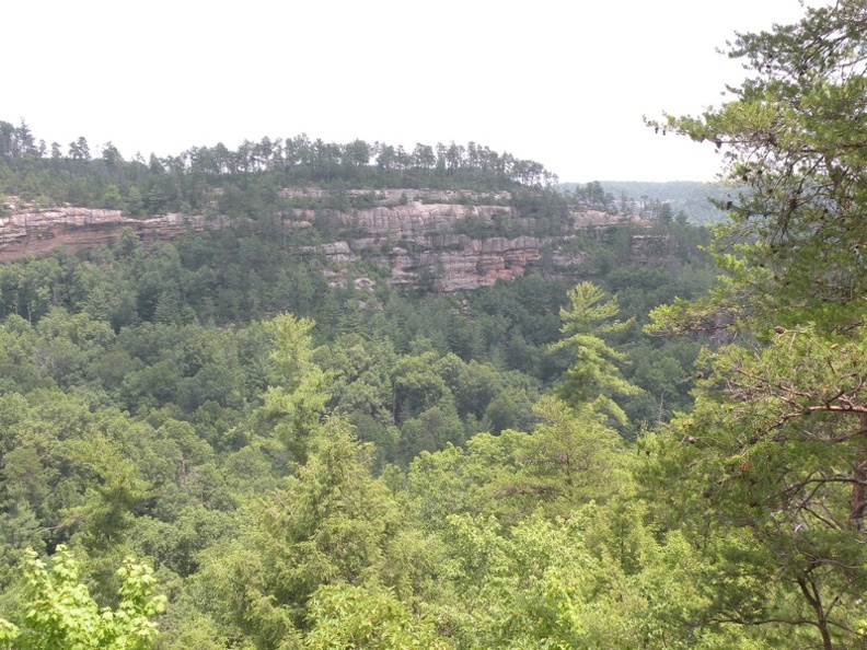 Gladie Creek_ Red River Gorge 14.jpg